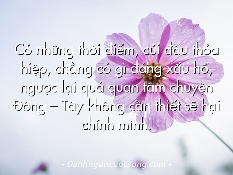 Có những thời điểm, cúi đầu thỏa hiệp, chẳng có gì đáng xấu hổ, ngược lại quá quan tâm chuyện Đông – Tây không cần thiết sẽ hại chính mình.
