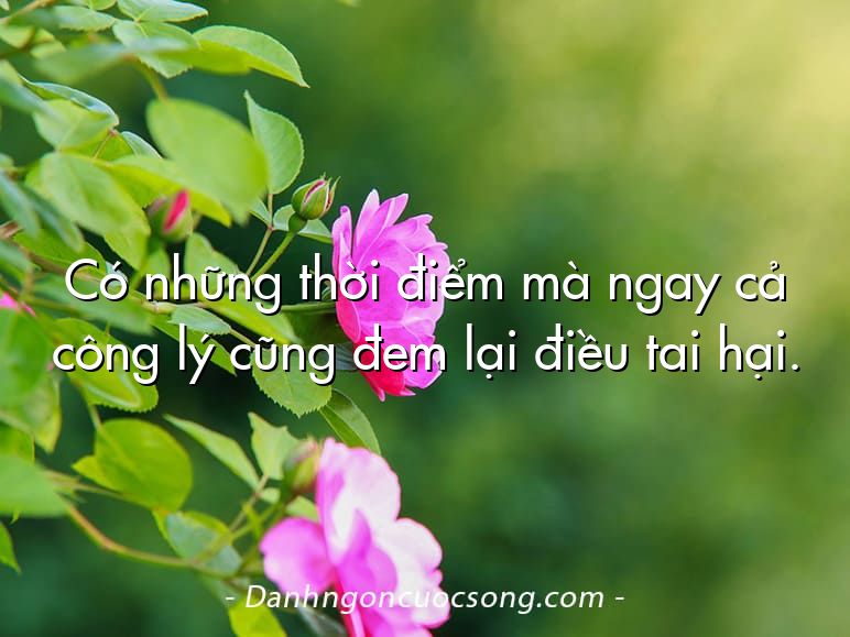 Có những thời điểm mà ngay cả công lý cũng đem lại điều tai hại.