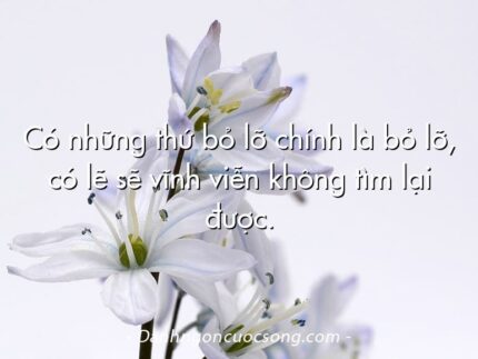 Có những thứ bỏ lỡ chính là bỏ lỡ, có lẽ sẽ vĩnh viễn không tìm lại được.