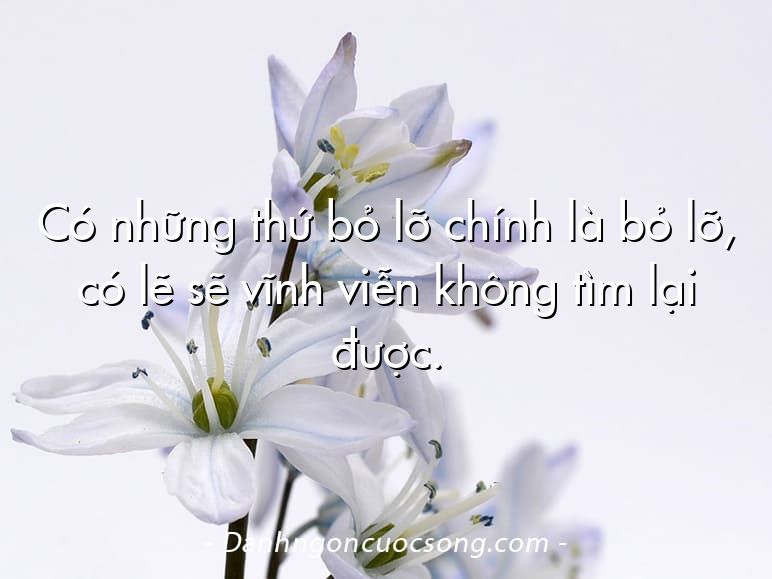 Có những thứ bỏ lỡ chính là bỏ lỡ, có lẽ sẽ vĩnh viễn không tìm lại được.