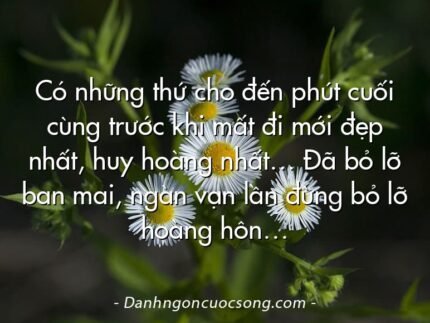 Có những thứ cho đến phút cuối cùng trước khi mất đi mới đẹp nhất, huy hoàng nhất… Đã bỏ lỡ ban mai, ngàn vạn lần đừng bỏ lỡ hoàng hôn…