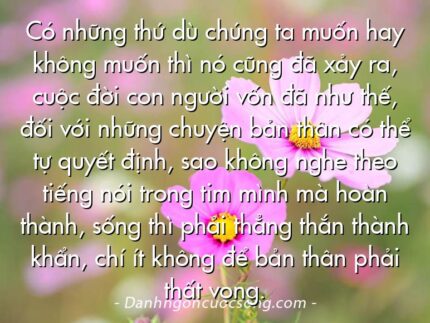 Có những thứ dù chúng ta muốn hay không muốn thì nó cũng đã xảy ra, cuộc đời con người vốn đã như thế, đối với những chuyện bản thân có thể tự quyết định, sao không nghe theo tiếng nói trong tim mình mà hoàn thành, sống thì phải thẳng thắn thành khẩn, chí ít không để bản thân phải thất vọng.
