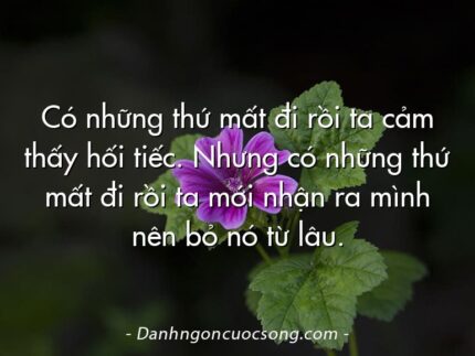 Có những thứ mất đi rồi ta cảm thấy hối tiếc. Nhưng có những thứ mất đi rồi ta mới nhận ra mình nên bỏ nó từ lâu.