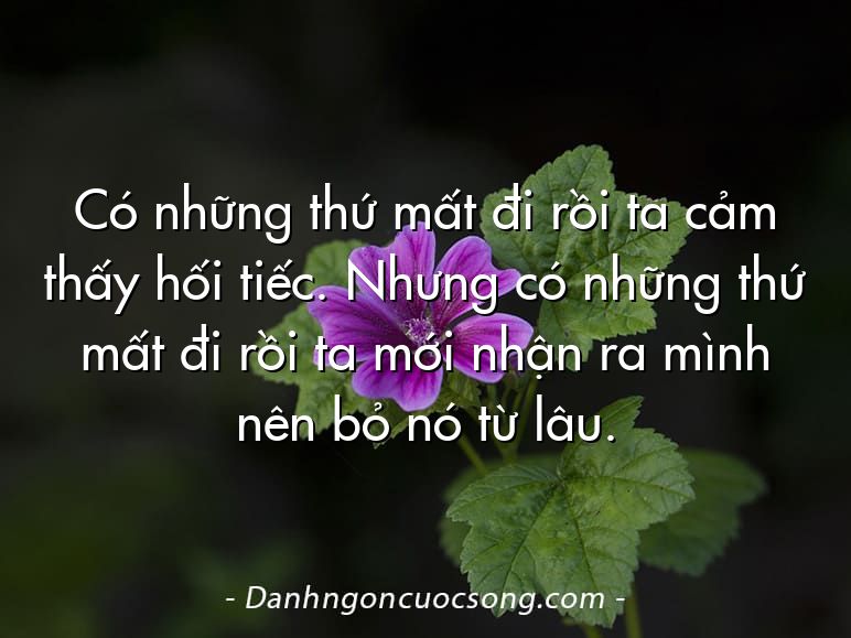 Có những thứ mất đi rồi ta cảm thấy hối tiếc. Nhưng có những thứ mất đi rồi ta mới nhận ra mình nên bỏ nó từ lâu.