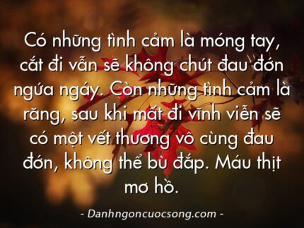Có những tình cảm là móng tay, cắt đi vẫn sẽ không chút đau đớn ngứa ngáy. Còn những tình cảm là răng, sau khi mất đi vĩnh viễn sẽ có một vết thương vô cùng đau đớn, không thể bù đắp. Máu thịt mơ hồ.