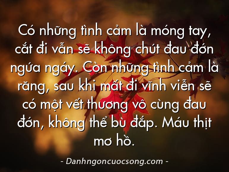 Có những tình cảm là móng tay, cắt đi vẫn sẽ không chút đau đớn ngứa ngáy. Còn những tình cảm là răng, sau khi mất đi vĩnh viễn sẽ có một vết thương vô cùng đau đớn, không thể bù đắp. Máu thịt mơ hồ.