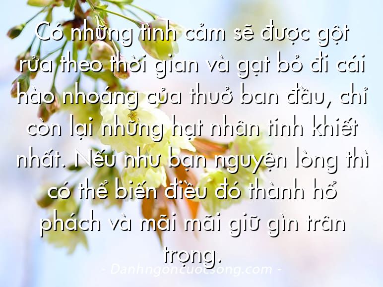 Có những tình cảm sẽ được gột rửa theo thời gian và gạt bỏ đi cái hào nhoáng của thuở ban đầu, chỉ còn lại những hạt nhân tinh khiết nhất. Nếu như bạn nguyện lòng thì có thể biến điều đó thành hổ phách và mãi mãi giữ gìn trân trọng.
