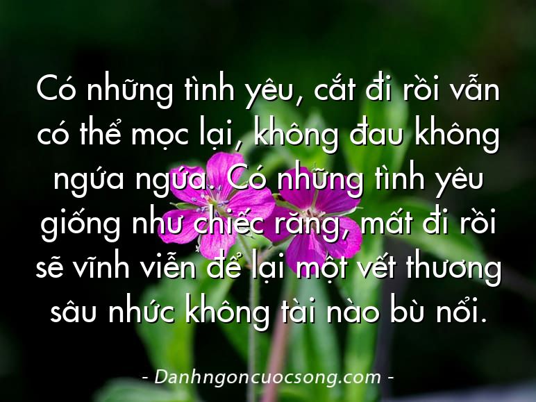 Có những tình yêu, cắt đi rồi vẫn có thể mọc lại, không đau không ngứa ngứa. Có những tình yêu giống như chiếc răng, mất đi rồi sẽ vĩnh viễn để lại một vết thương sâu nhức không tài nào bù nổi.