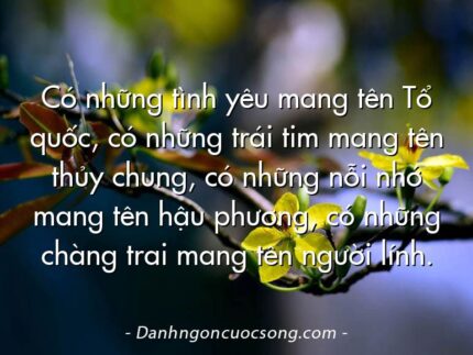Có những tình yêu mang tên Tổ quốc, có những trái tim mang tên thủy chung, có những nỗi nhớ mang tên hậu phương, có những chàng trai mang tên người lính.