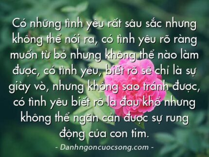 Có những tình yêu rất sâu sắc nhưng không thể nói ra, có tình yêu rõ ràng muốn từ bỏ nhưng không thể nào làm được, có tình yêu, biết rõ sẽ chỉ là sự giày vò, nhưng không sao tránh được, có tình yêu biết rõ là đau khổ nhưng không thể ngăn cản được sự rung động của con tim.