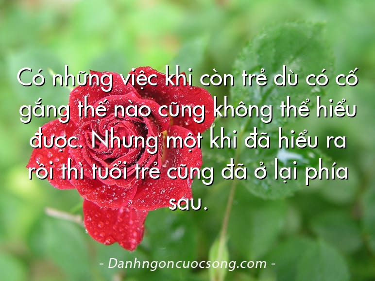 Có những việc khi còn trẻ dù có cố gắng thế nào cũng không thể hiểu được. Nhưng một khi đã hiểu ra rồi thì tuổi trẻ cũng đã ở lại phía sau.