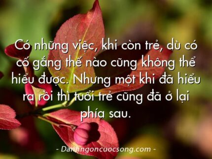 Có những việc, khi còn trẻ, dù có cố gắng thế nào cũng không thể hiểu được. Nhưng một khi đã hiểu ra rồi thì tuổi trẻ cũng đã ở lại phía sau.