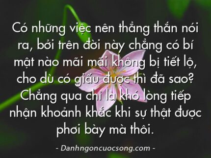 Có những việc nên thẳng thắn nói ra, bởi trên đời này chẳng có bí mật nào mãi mãi không bị tiết lộ, cho dù có giấu được thì đã sao? Chẳng qua chỉ là khó lòng tiếp nhận khoảnh khắc khi sự thật được phơi bày mà thôi.