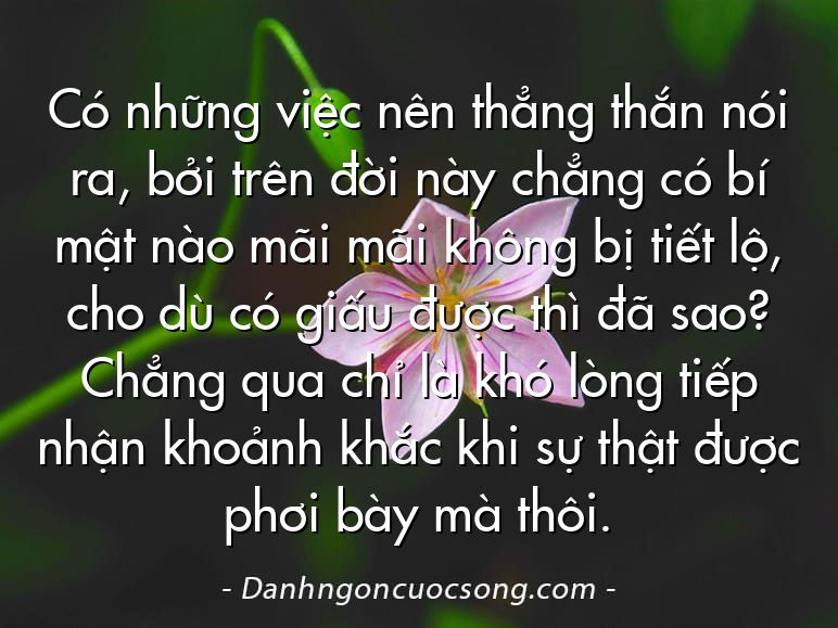 Có những việc nên thẳng thắn nói ra, bởi trên đời này chẳng có bí mật nào mãi mãi không bị tiết lộ, cho dù có giấu được thì đã sao? Chẳng qua chỉ là khó lòng tiếp nhận khoảnh khắc khi sự thật được phơi bày mà thôi.