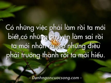 Có những việc phải làm rồi ta mới biết,có những chuyện làm sai rồi ta mới nhận ra ,có những điều phải trưởng thành rồi ta mới hiểu.