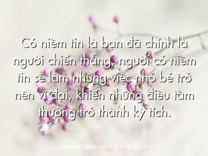 Có niềm tin là bạn đã chính là người chiến thắng, người có niềm tin sẽ làm những việc nhỏ bé trở nên vĩ đại, khiến những điều tầm thường trở thành kỳ tích.