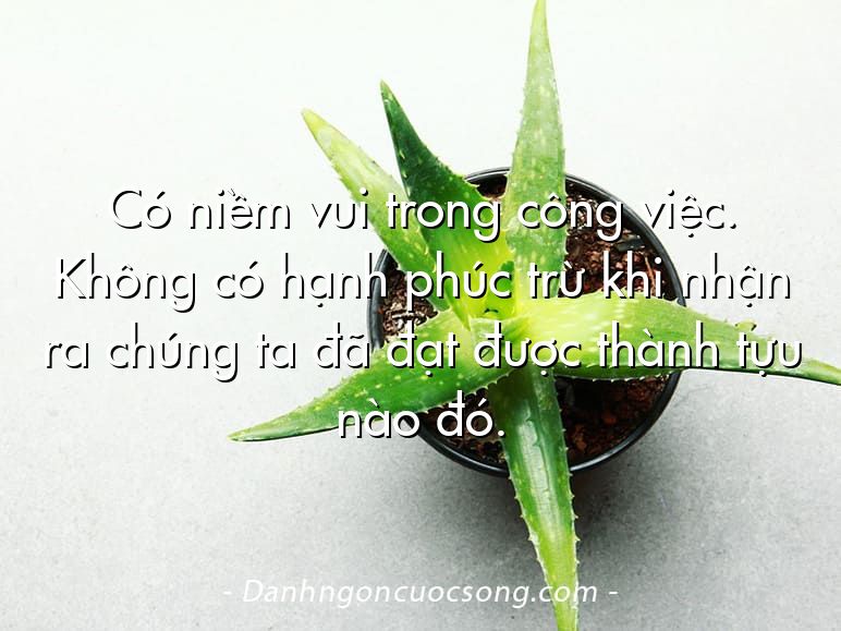 Có niềm vui trong công việc. Không có hạnh phúc trừ khi nhận ra chúng ta đã đạt được thành tựu nào đó.