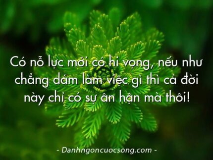 Có nỗ lực mới có hi vọng, nếu như chẳng dám làm việc gì thì cả đời này chỉ có sự ân hận mà thôi!