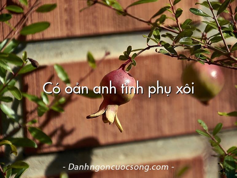 Có oản anh tình phụ xôi