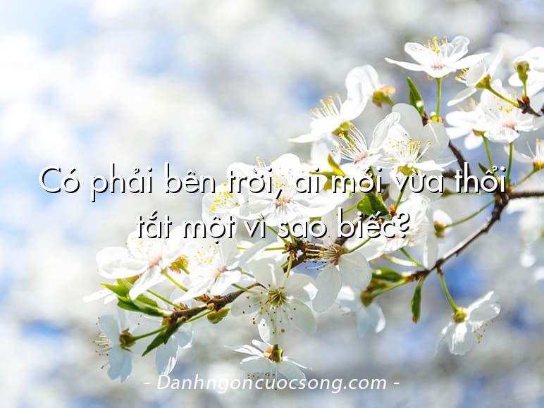 Có phải bên trời, ai mới vừa thổi tắt một vì sao biếc?