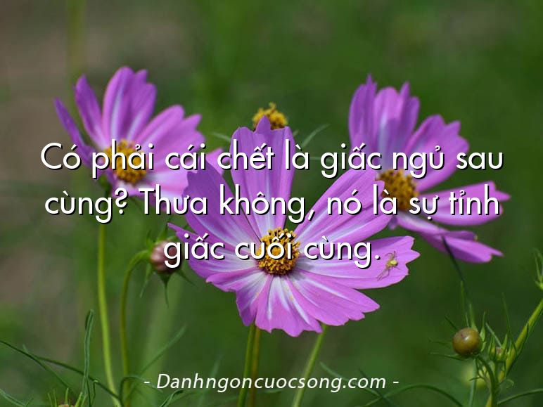 Có phải cái chết là giấc ngủ sau cùng? Thưa không, nó là sự tỉnh giấc cuối cùng.