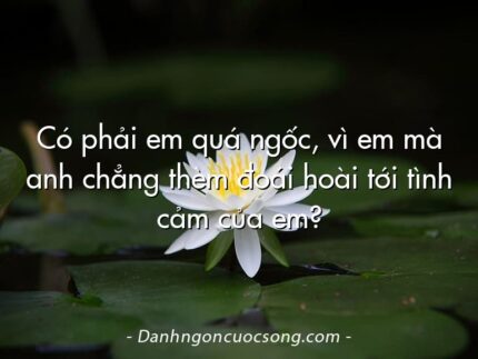 Có phải em quá ngốc, vì em mà anh chẳng thèm đoái hoài tới tình cảm của em?