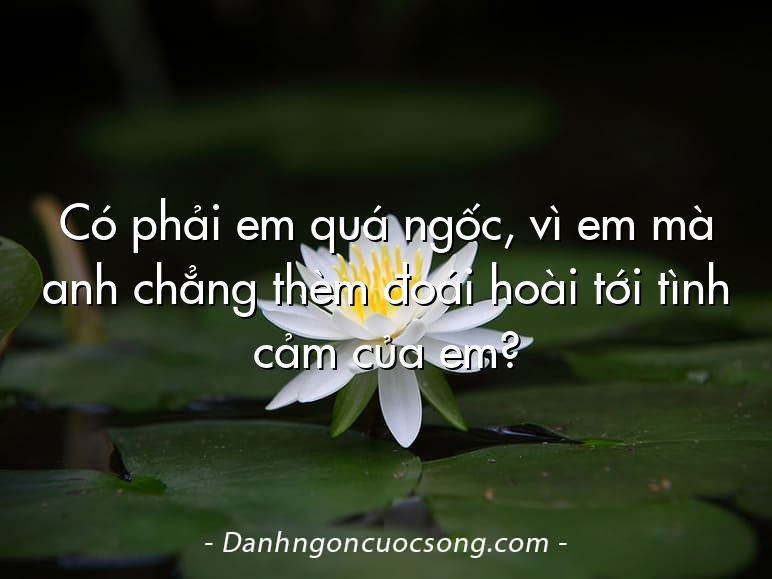 Có phải em quá ngốc, vì em mà anh chẳng thèm đoái hoài tới tình cảm của em?