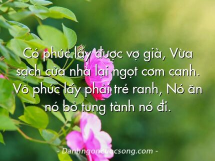 Có phúc lấy được vợ già, Vừa sạch cửa nhà lại ngọt cơm canh. Vô phúc lấy phải trẻ ranh, Nó ăn nó bỏ tung tành nó đi.