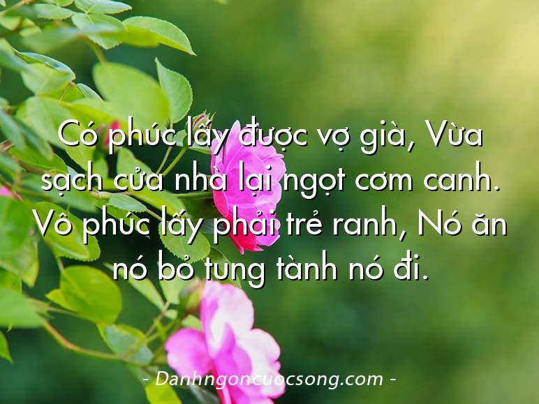 Có phúc lấy được vợ già, Vừa sạch cửa nhà lại ngọt cơm canh. Vô phúc lấy phải trẻ ranh, Nó ăn nó bỏ tung tành nó đi.