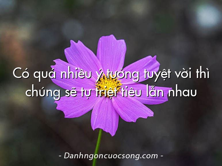 Có quá nhiều ý tưởng tuyệt vời thì chúng sẽ tự triệt tiêu lẫn nhau