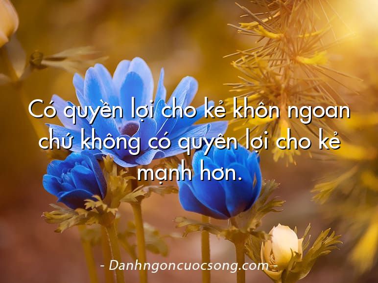 Có quyền lợi cho kẻ khôn ngoan chứ không có quyên lợi cho kẻ mạnh hơn.