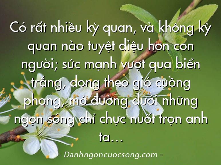 Có rất nhiều kỳ quan, và không kỳ quan nào tuyệt diệu hơn con người; sức mạnh vượt qua biển trắng, dong theo gió cuồng phong, mở đường dưới những ngọn sóng chỉ chực nuốt trọn anh ta…