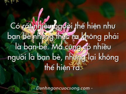 Có rất nhiều người thể hiện như bạn bè nhưng thực ra không phải là bạn bè. Mà cũng có nhiều người là bạn bè, nhưng lại không thể hiện ra.