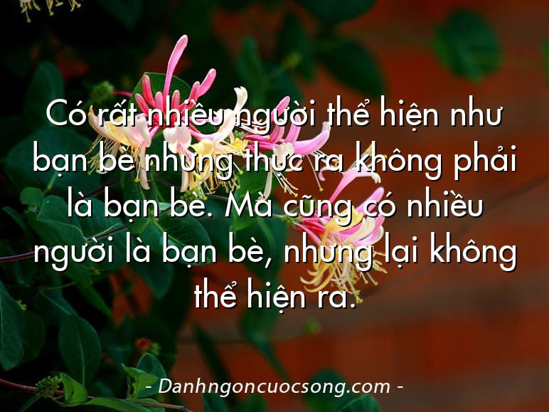 Có rất nhiều người thể hiện như bạn bè nhưng thực ra không phải là bạn bè. Mà cũng có nhiều người là bạn bè, nhưng lại không thể hiện ra.