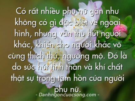 Có rất nhiều phụ nữ gần như không có gì đặc biệt về ngoại hình, nhưng vẫn thu hút người khác, khiến cho người khác vô cùng thích thú, ngưỡng mộ. Đó là do sức hút tinh thần và khí chất thật sự trong tâm hồn của người phụ nữ.