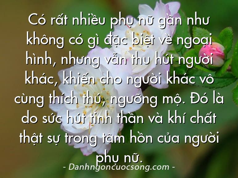 Có rất nhiều phụ nữ gần như không có gì đặc biệt về ngoại hình, nhưng vẫn thu hút người khác, khiến cho người khác vô cùng thích thú, ngưỡng mộ. Đó là do sức hút tinh thần và khí chất thật sự trong tâm hồn của người phụ nữ.