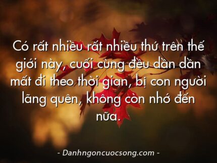 Có rất nhiều rất nhiều thứ trên thế giới này, cuối cùng đều dần dần mất đi theo thời gian, bị con người lãng quên, không còn nhớ đến nữa.