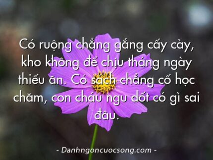 Có ruộng chẳng gắng cấy cày, kho không để chịu tháng ngày thiếu ăn. Có sách chẳng cố học chăm, con cháu ngu dốt có gì sai đâu.