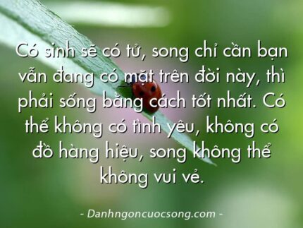 Có sinh sẽ có tử, song chỉ cần bạn vẫn đang có mặt trên đời này, thì phải sống bằng cách tốt nhất. Có thể không có tình yêu, không có đồ hàng hiệu, song không thể không vui vẻ.