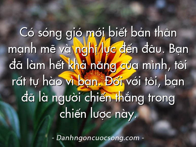 Có sóng gió mới biết bản thân mạnh mẽ và nghị lực đến đâu. Bạn đã làm hết khả năng của mình, tôi rất tự hào vì bạn. Đối với tôi, bạn đã là người chiến thắng trong chiến lược này.
