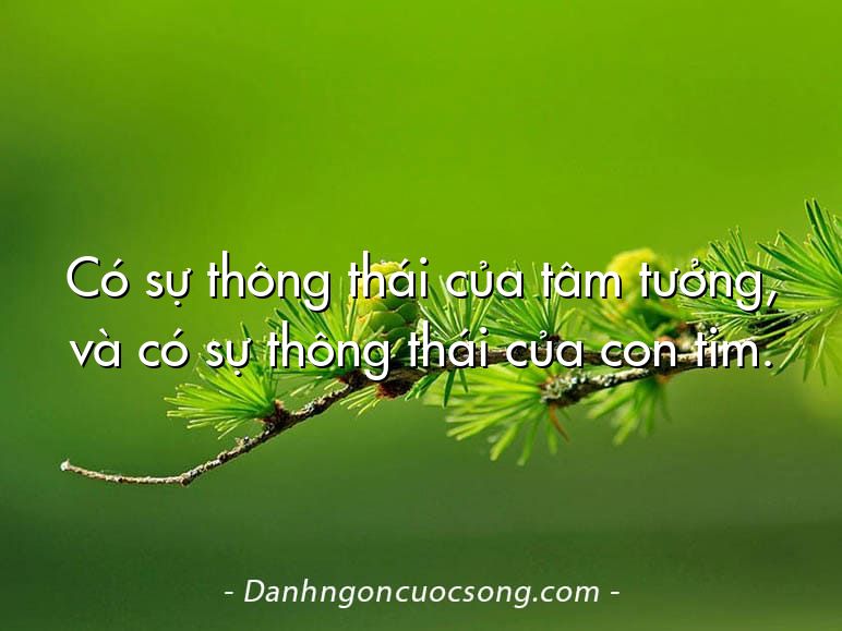 Có sự thông thái của tâm tưởng, và có sự thông thái của con tim.