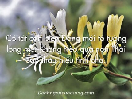 Có tát cạn biển Đông mới tỏ tường lòng mẹ. Không trèo qua non Thái sao thấu hiểu tình cha.