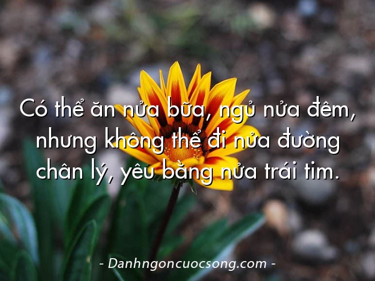 Có thể ăn nửa bữa, ngủ nửa đêm, nhưng không thể đi nửa đường chân lý, yêu bằng nửa trái tim.