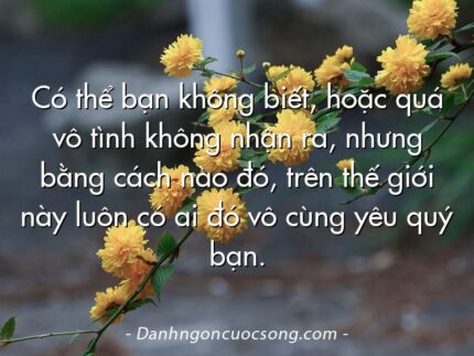 Có thể bạn không biết, hoặc quá vô tình không nhận ra, nhưng bằng cách nào đó, trên thế giới này luôn có ai đó vô cùng yêu quý bạn.