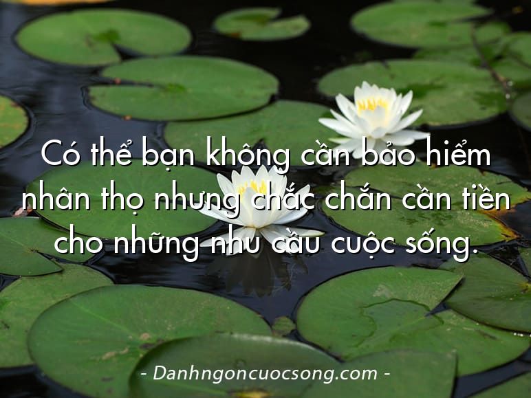 Có thể bạn không cần bảo hiểm nhân thọ nhưng chắc chắn cần tiền cho những nhu cầu cuộc sống.