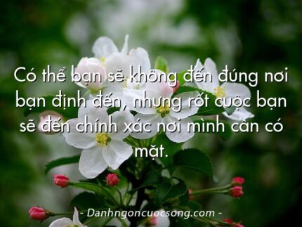 Có thể bạn sẽ không đến đúng nơi bạn định đến, nhưng rốt cuộc bạn sẽ đến chính xác nơi mình cần có mặt.