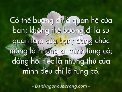 Có thể buông đi là quan hệ của bạn; không thể buông đi là sự quan tâm của bạn; đáng chúc mừng là những gì mình từng có; đáng hối tiếc là những thứ của mình đều chỉ là từng có.