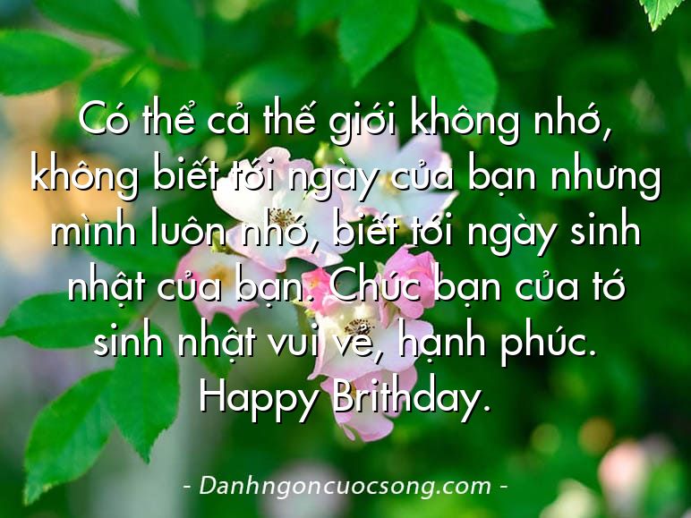 Có thể cả thế giới không nhớ, không biết tới ngày của bạn nhưng mình luôn nhớ, biết tới ngày sinh nhật của bạn. Chúc bạn của tớ sinh nhật vui vẻ, hạnh phúc. Happy Brithday.
