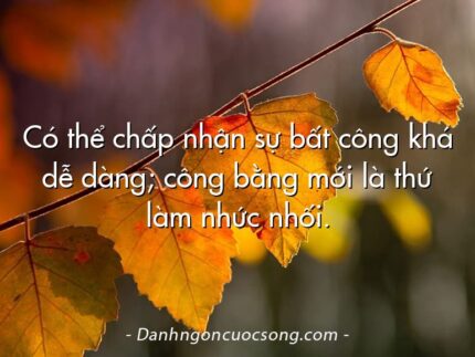 Có thể chấp nhận sự bất công khá dễ dàng; công bằng mới là thứ làm nhức nhối.