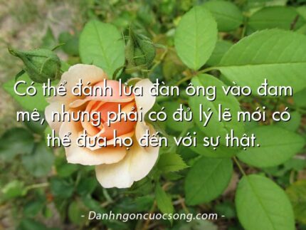 Có thể đánh lừa đàn ông vào đam mê, nhưng phải có đủ lý lẽ mới có thể đưa họ đến với sự thật.